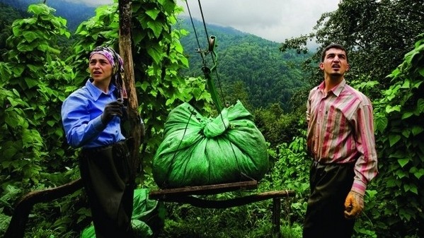 ‘Çay üreticisi özel sektörün kölesi olacak’