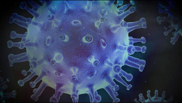 Ankara Üniversiteli bilim insanı koronavirüsü izole etmeyi başardı