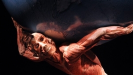 İnsan vücudunu keşfe hazır mısınız?