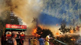 Ankara Nallıhan’da orman yangını sürüyor