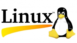 İlk resmi Linux sürümü yirmi beş yaşında