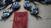 İLEF 60’ıncı yaşına hazırlanıyor: Baykuşların altına “60 yıl” yazısı asıldı