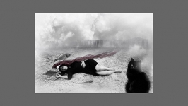 İLEF’te Photoshop atölyesi yapılacak